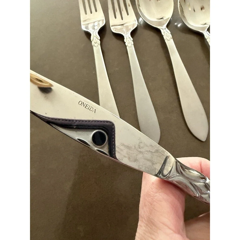 5 Piece Place Setting - Oneida Jacqueline Simba Stainless Flatware